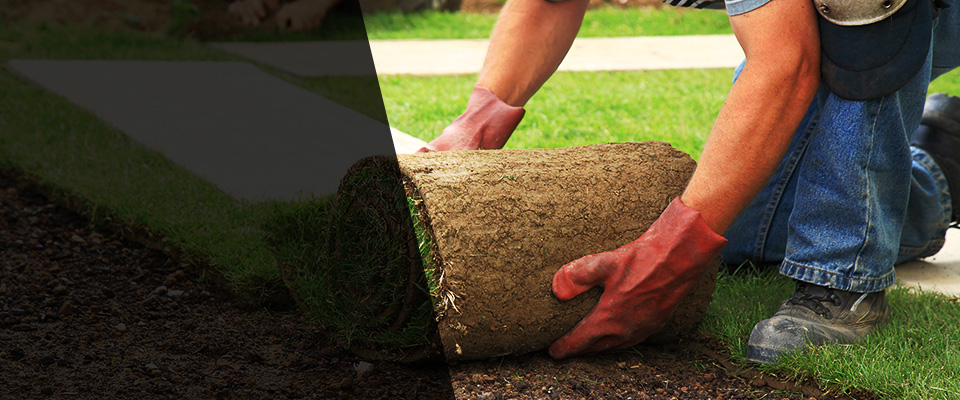 Binghamton Landscapers